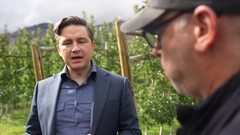 Pierre Poilievre gives a masterclass on how to handle a left-wing journalist.