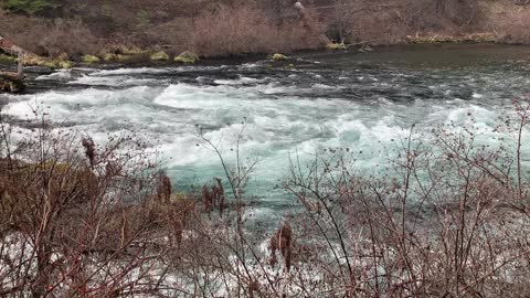 Amazing Tropical Color – Metolius River – Central Oregon