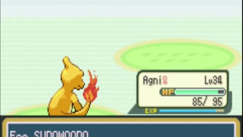 Pokemon Kanto Complete - Shiny Fire Monotype, Episode 6: A Raging Inferno