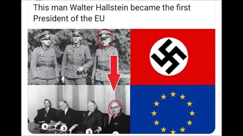 Nazi World Order