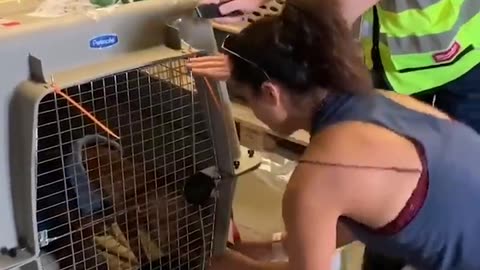 Dog Hugs Owner And Refuses To Let Go