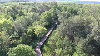 Bayou Sauvage Wildlife Refuge_2