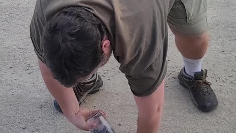 Freeing an Animal's Head Trapped in a Jar