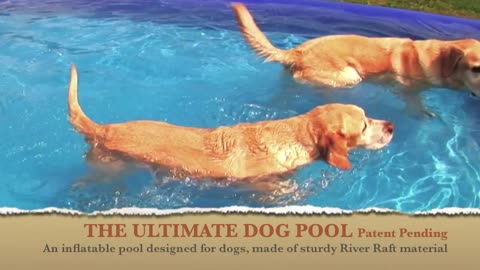 THE ULTIMATE DOG POOL (patent pending)