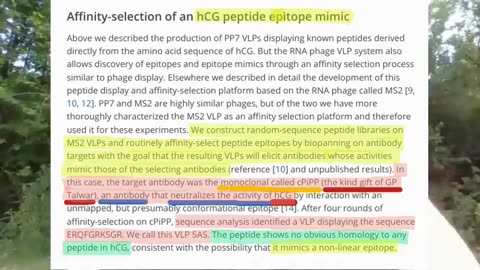 Remarque88 - COVERT ADVANCED DEPOPULATION VIA HCG ANTIBODY - PART 2