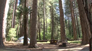 Camping in Yosemite National Park