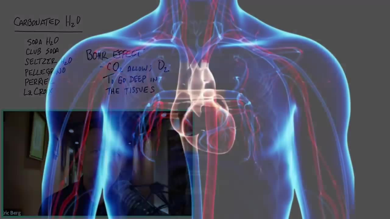 Why You Should Drink Carbonated Water CO2 Is Good For You!