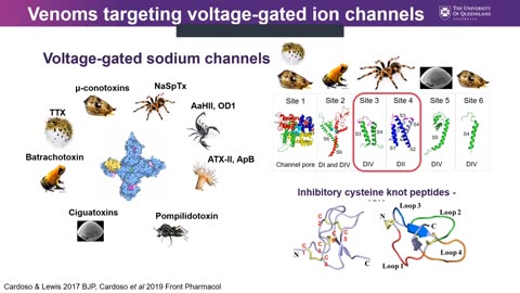 The Future of Pain Relief - Meet the Researchers 2023 Institute For Molecular Biology