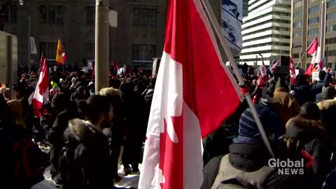 Trucker protests: Parts of Toronto see large crowds for anti-mandate demonstrations