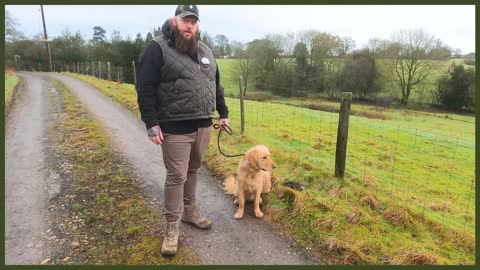 Stop PULLING Your Dog On The Leash-TRAIN