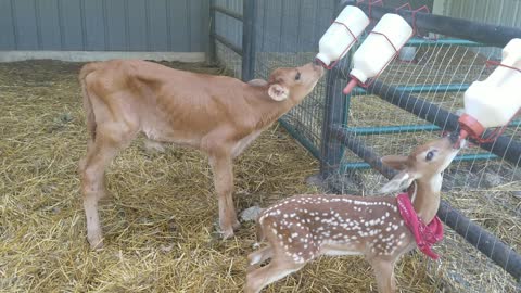 Charlie as a baby