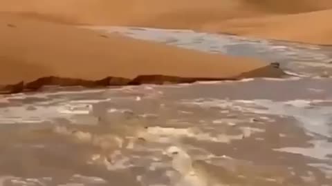 Strange phenomenon in Saudi Arabia - Water gushes out in the middle of the desert