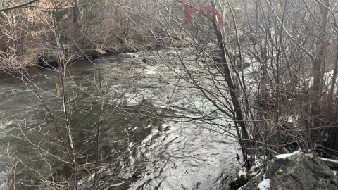 Very Interesting Geology Next to Whychus Creek – Central Oregon