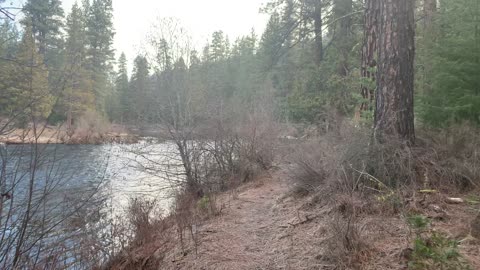 Exploring the Beautiful Metolius River National Recreation Area – Central Oregon – 4K