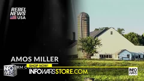 Diabolical Feds Raid And Fine Organic Amish Farm In An Attack On Freedom, Food And Religion