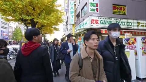 Tokyo's Maid Cafe paradise On fall