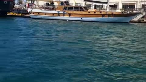 Sea Lion Boards Boat for Snack