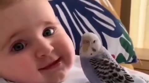 cute little baby video/ babies haircut expression #shorts #cutebabiesvideo #babyvideos/cute videos