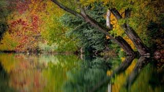 Shall We Gather at the River Harp Solo