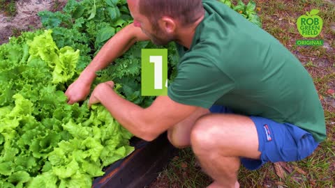 I Grew and Foraged 100% of My Food for an Entire Year!