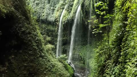 Musique douce avec belle nature