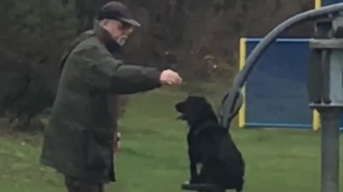 Grandad Pushes Dog On Swing 🥹