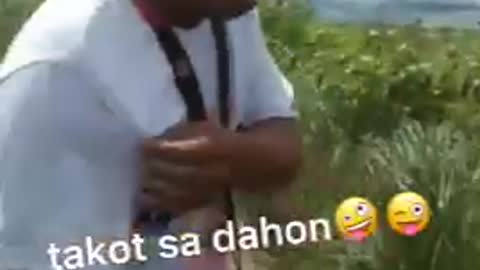 Takot ako sa dahon