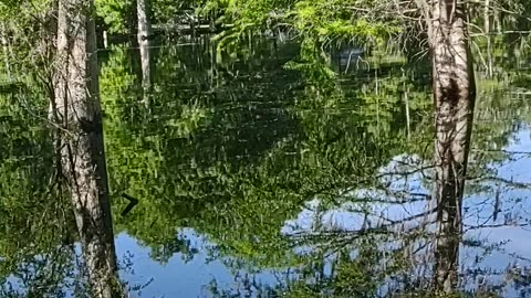 Santa Fe River is Rising 4/7/24