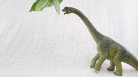 BRACHIOSAURUS FACTS! | Fun and educational video