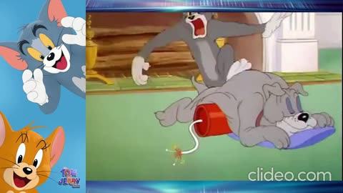 Tom & Jerry | Tom & Jerry in Full Screen | Classic Cartoon Compilation |Cartoons Gallary