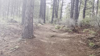 Exploring the Mighty Deschutes River Trail – Central Oregon – 4K