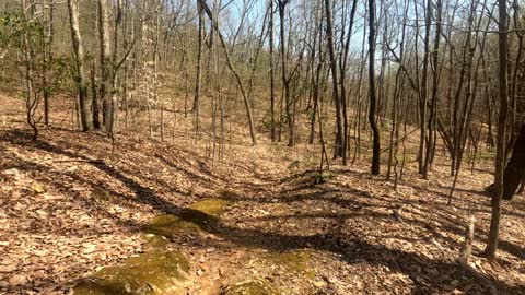 Hiking Liberty Mountain Horton's Loop Trail in Lynchburg Virginia Part 7, April 11