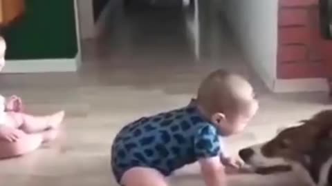 cutest baby playing with dog - cuteness