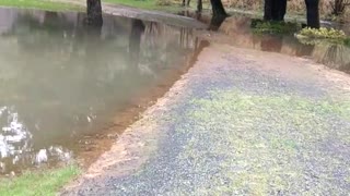 Seaside Oregon Winter Flooding