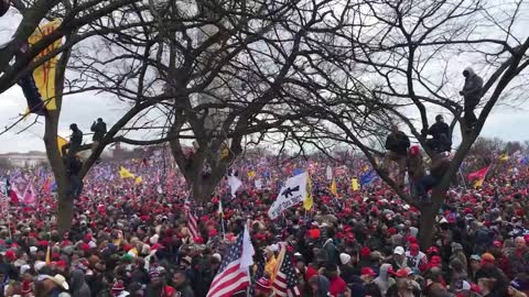 Bird's eye view at Ellipse January 6th at 8:37am