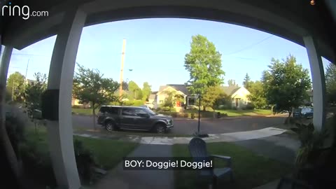 Neighbor Offers Help When He Sees Coyote Following A Neighbor Walking Her Dog