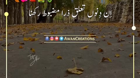 December K Bichharry | Urdu Poetry | Status Video | Rumble Video