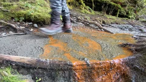 Old Robe Canyon Trail Hike-Granite Falls, WA