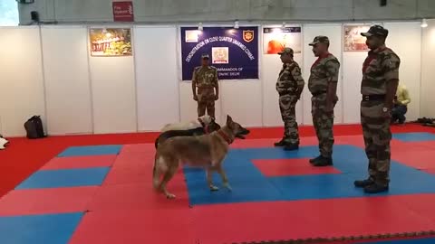 CISF demonstration of Dog Squad