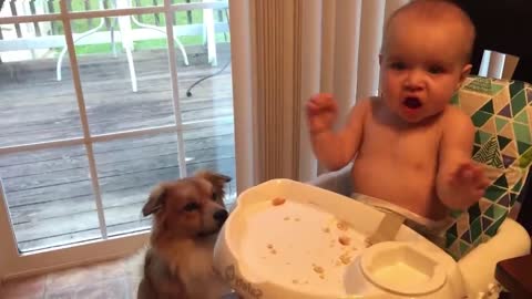 Cute babies play with dogs and cats