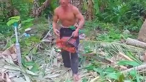 Amazing skill of brave man cutting down the tree