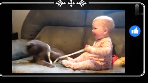 This cute cat is trying to pull its little owner's rope.