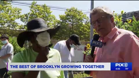 New Vision Garden brings teens and seniors together to grow in many ways