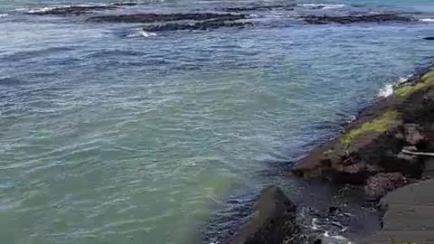 Strange Tides After the 6.9 Earthquake in Hawaii