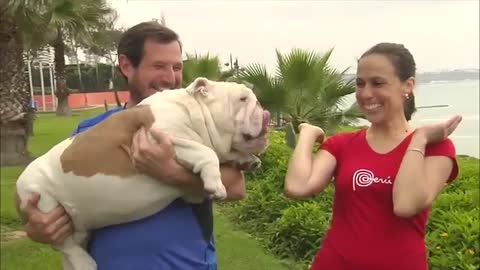 Bulldog skateboards into the Guinness World Records book