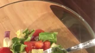 Brown dog staring at salad on kitchen counter