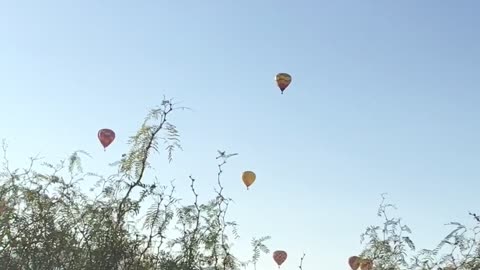 German Shepherd hates hot air balloons