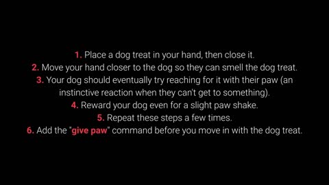 Key Dog Training and The 10 Most Important Commands Every Dog Must Know!