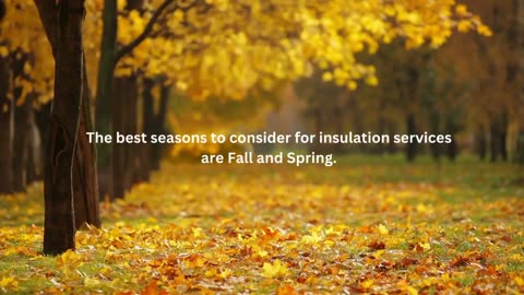 When should consider home insulation services?