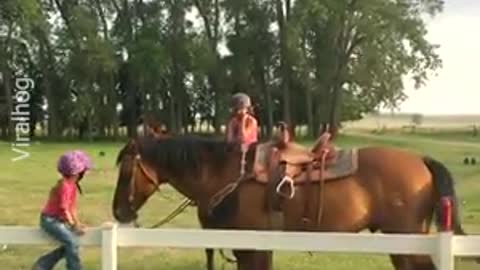 small child is looking for a way to get on a horse.